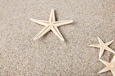 《奇娅 Tchia》6月27日登陆Switch 开放世界冒险名作